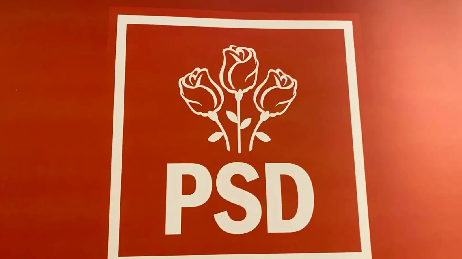 Conflict în PSD Buzău: liderul județean îi cere primarului Toma să renunțe la „politica mare” și să termine proiectele promise