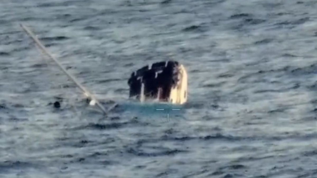 Salvarea spectaculoasă a patru navigatori după atacul unui cașalot în Pacific